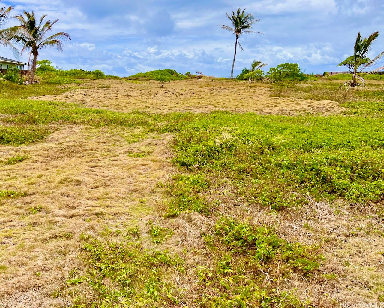 55-297 Kamehameha Hwy B Laie, Hi vacant land for sale - photo 3 of 5