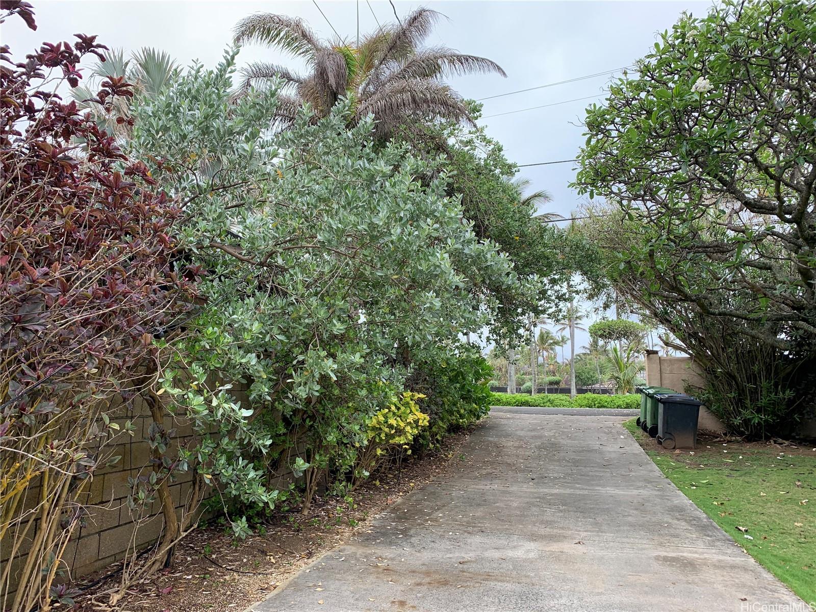 55371  Kamehameha Hwy Laie, North Shore home - photo 15 of 23