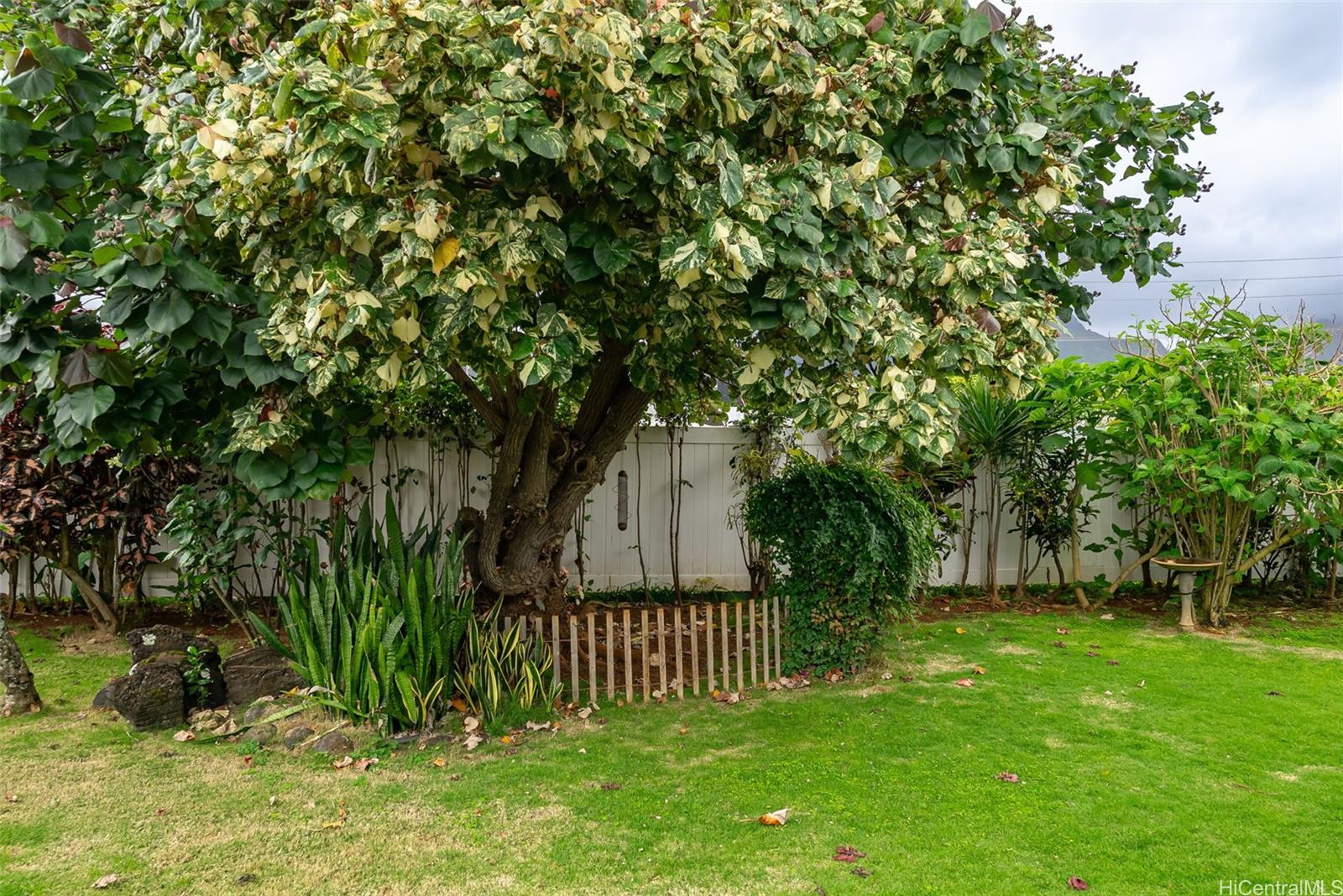 554  Ulukanu Street Olomana, Kailua home - photo 23 of 24