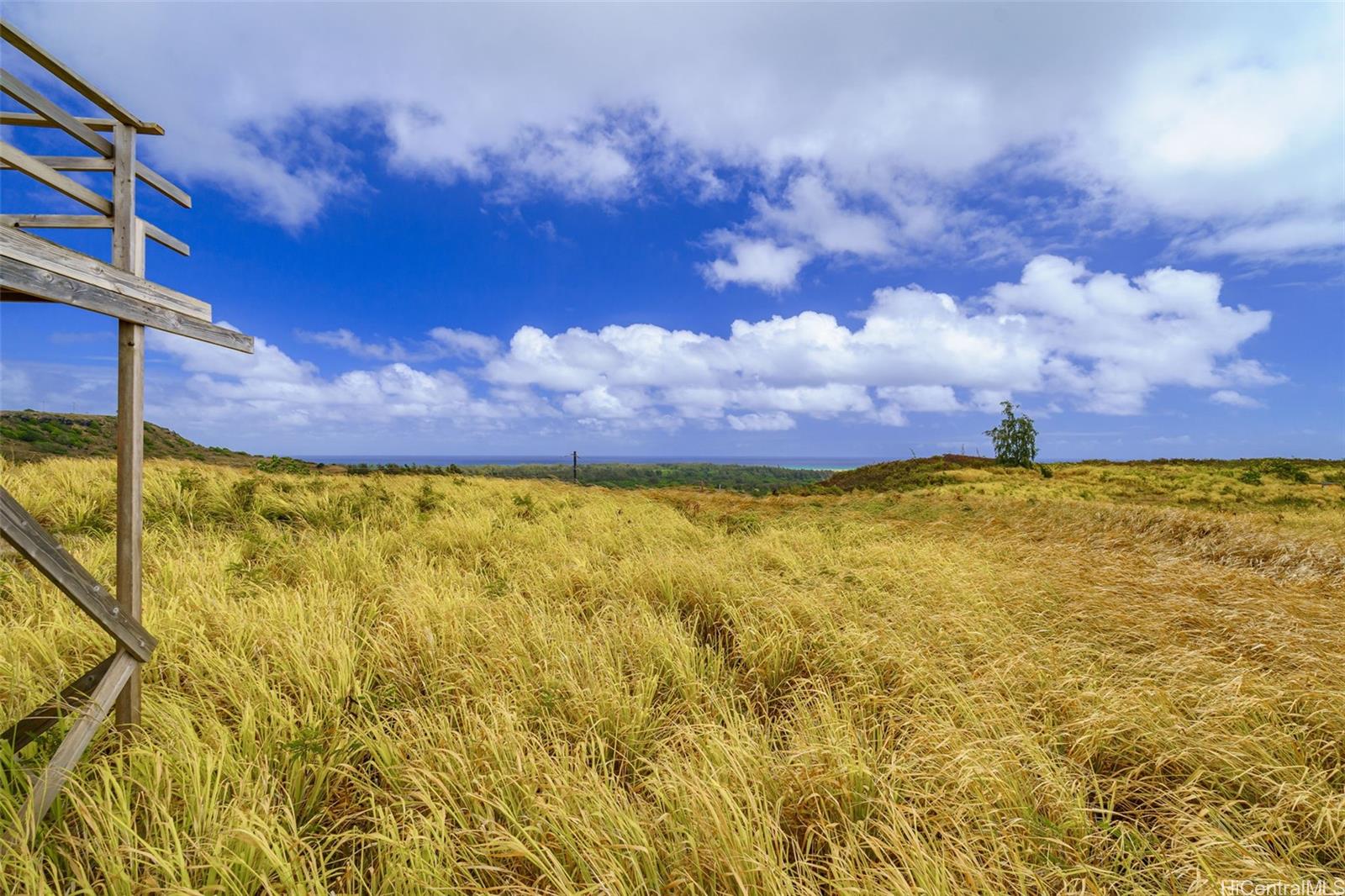 56-1080 Kamehameha Hwy 2 Kahuku, Hi vacant land for sale - photo 12 of 21