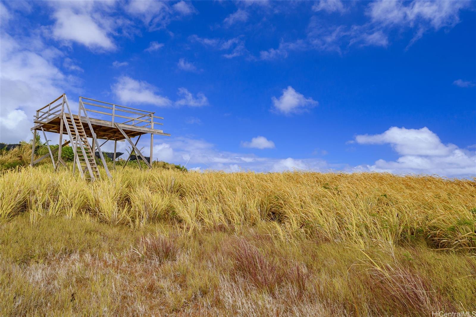 56-1080 Kamehameha Hwy 2 Kahuku, Hi vacant land for sale - photo 6 of 21