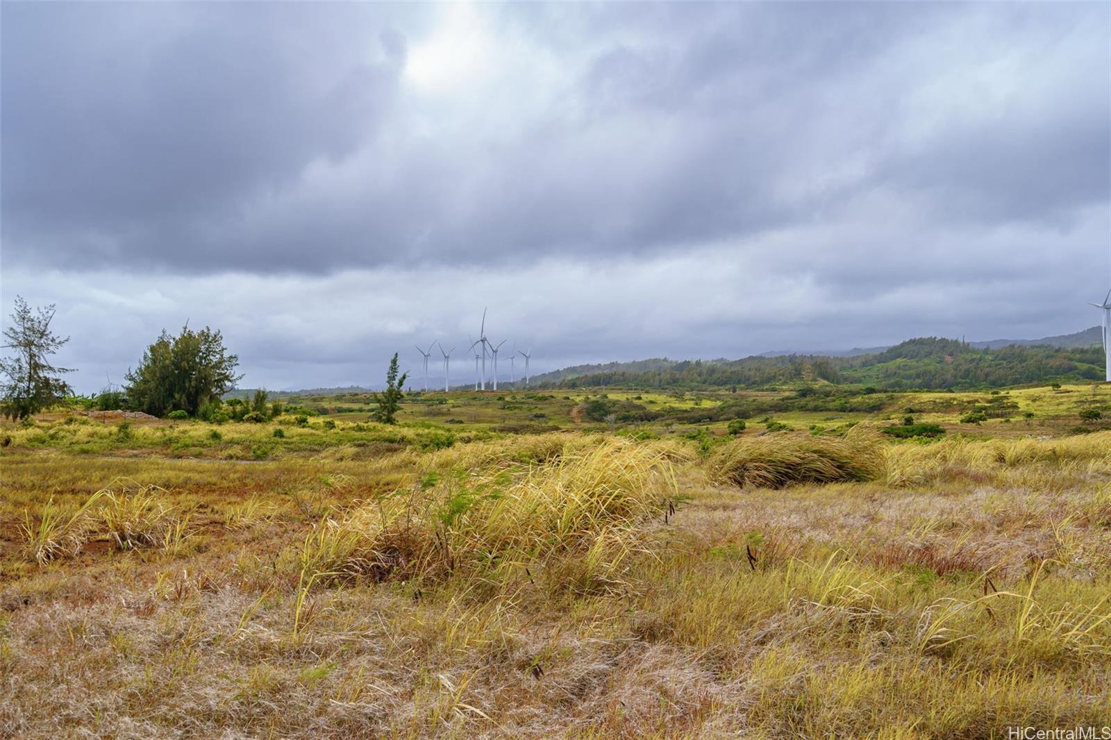 56-1080 Kamehameha Hwy 2 Kahuku, Hi vacant land for sale - photo 7 of 21