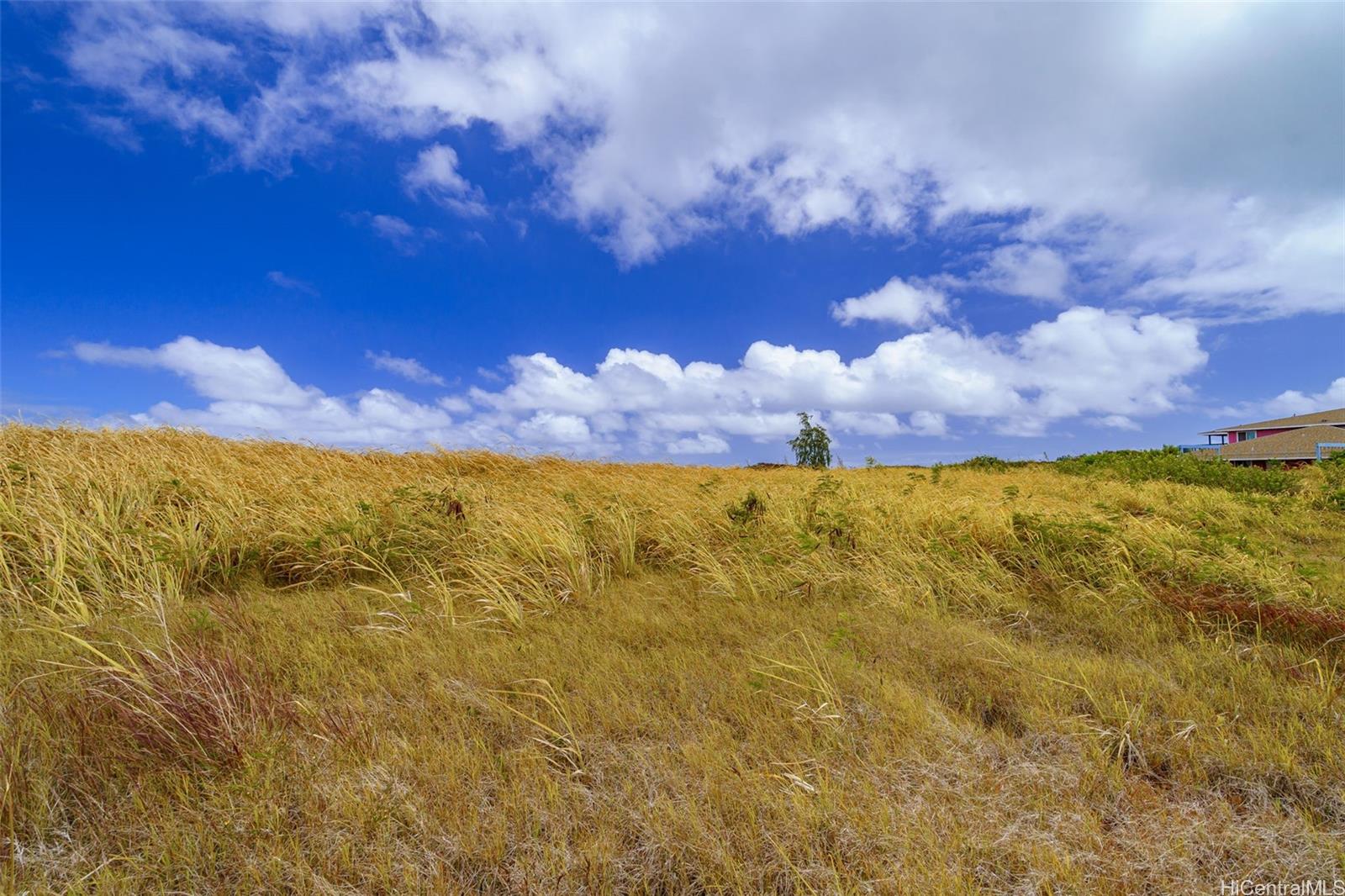 56-1080 Kamehameha Hwy 2 Kahuku, Hi vacant land for sale - photo 10 of 21