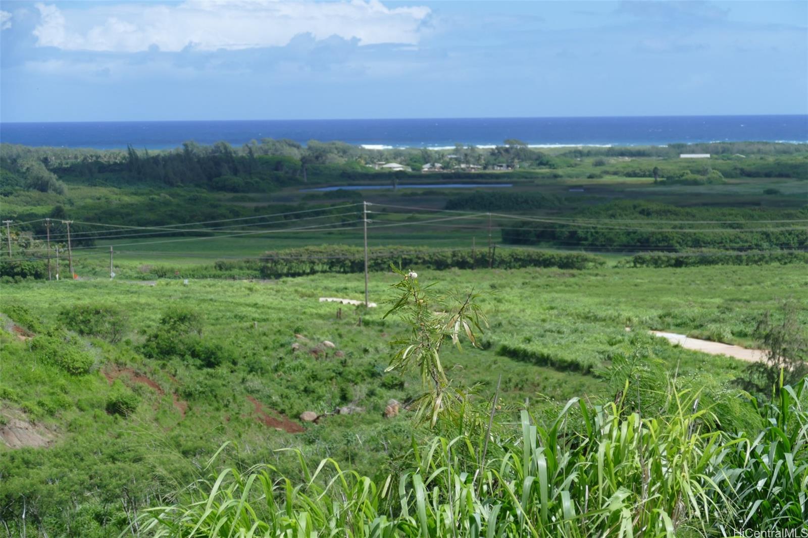 56-1080 Kamehameha Hwy 5 Kahuku, Hi vacant land for sale - photo 3 of 8