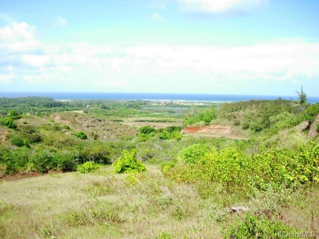 56-1080 Kamehameha Hwy  Kahuku, Hi vacant land for sale - photo 12 of 16