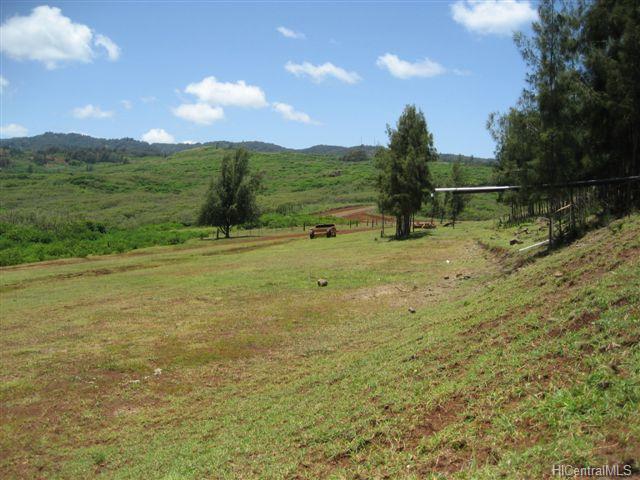 56-1080 Kamehameha Hwy  Kahuku, Hi vacant land for sale - photo 9 of 16