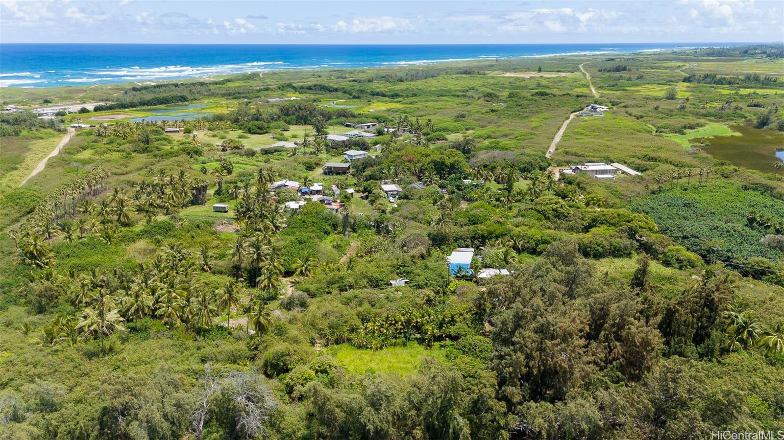 56-1081 Kamehameha Hwy  Kahuku, Hi vacant land for sale - photo 8 of 25