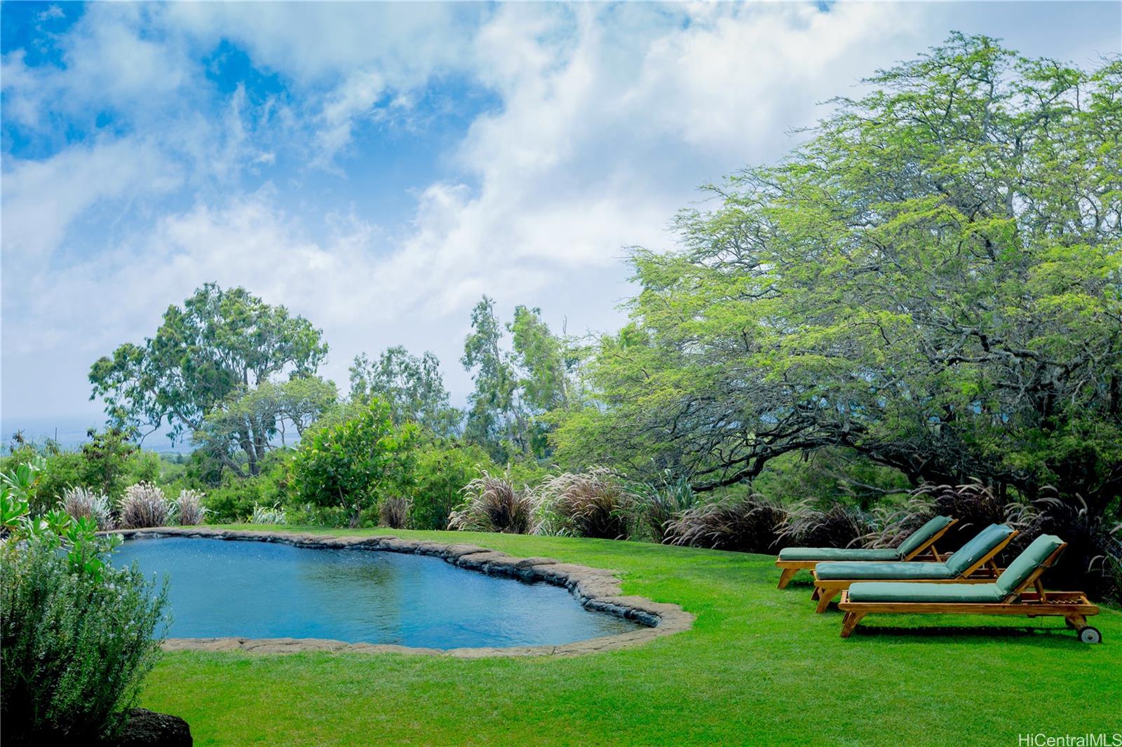 56-2864 Akoni Pule Hwy Hawi Big Island commercial real estate photo3 of 6