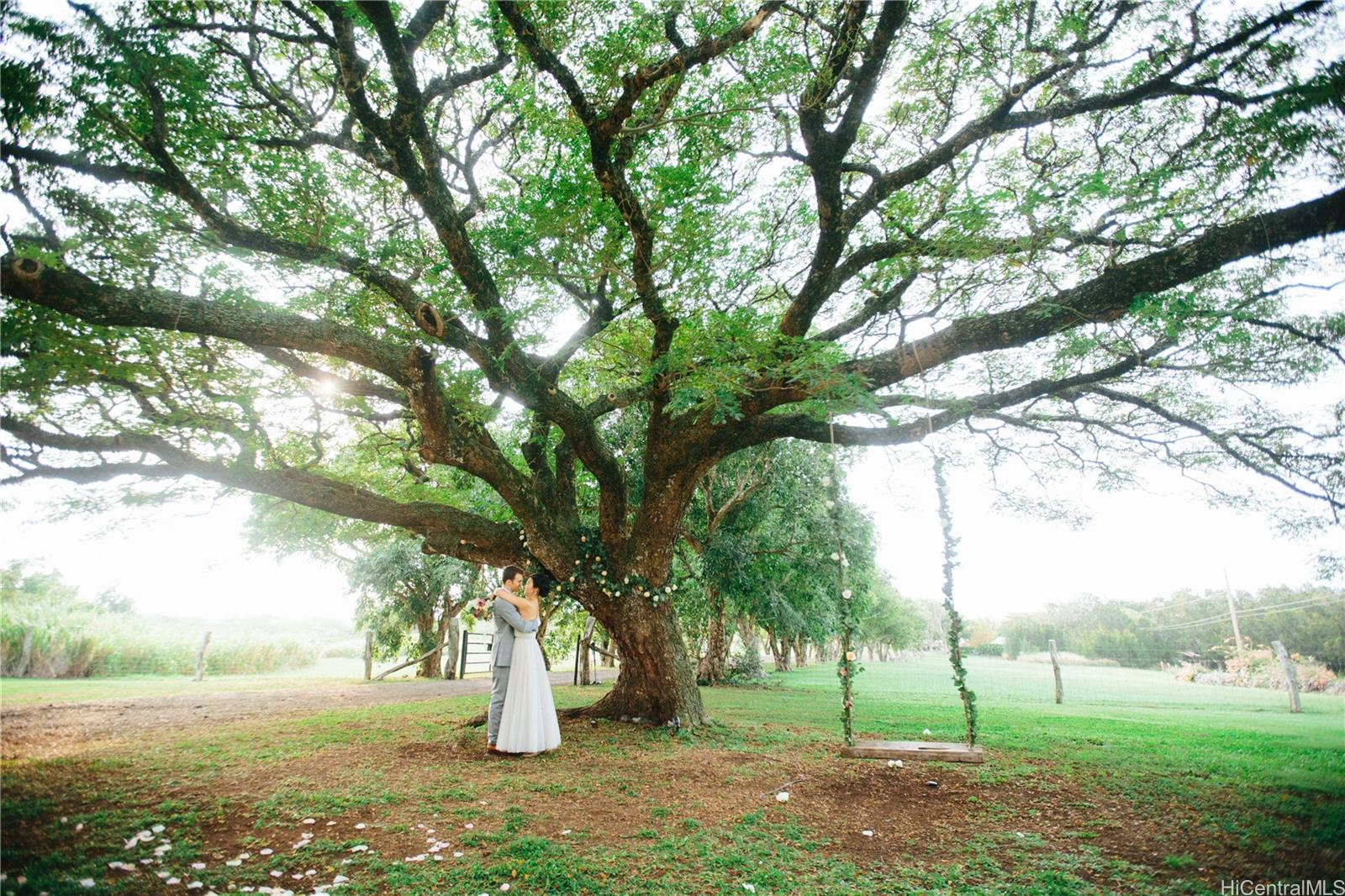 56-2864 Akoni Pule Hwy Hawi Big Island commercial real estate photo5 of 6