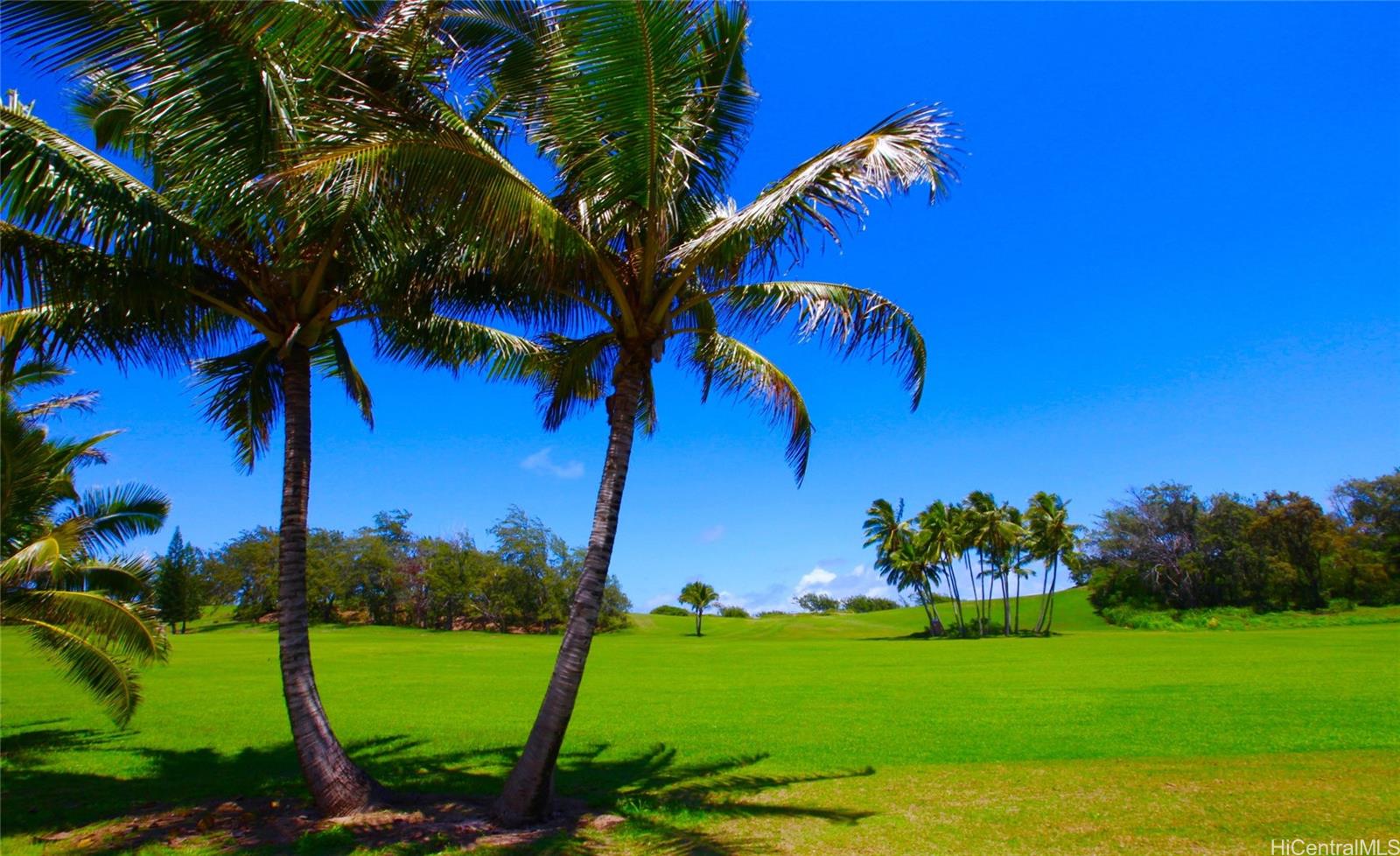 56-481 Kamehameha Hwy HM-354 Kahuku, Hi vacant land for sale - photo 7 of 14