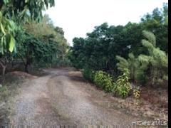 56-664 Kamehameha Hwy 14 Kahuku, Hi vacant land for sale - photo 2 of 12