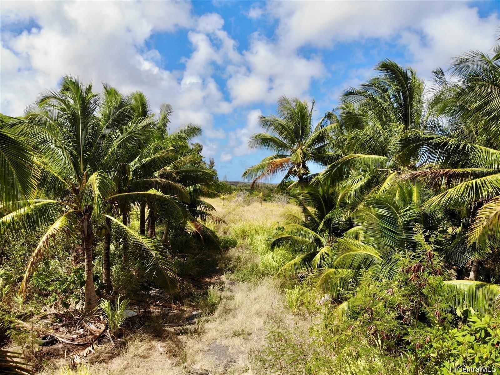 Koolauloa real estate & homes for sale - Oahu  Hawaii House