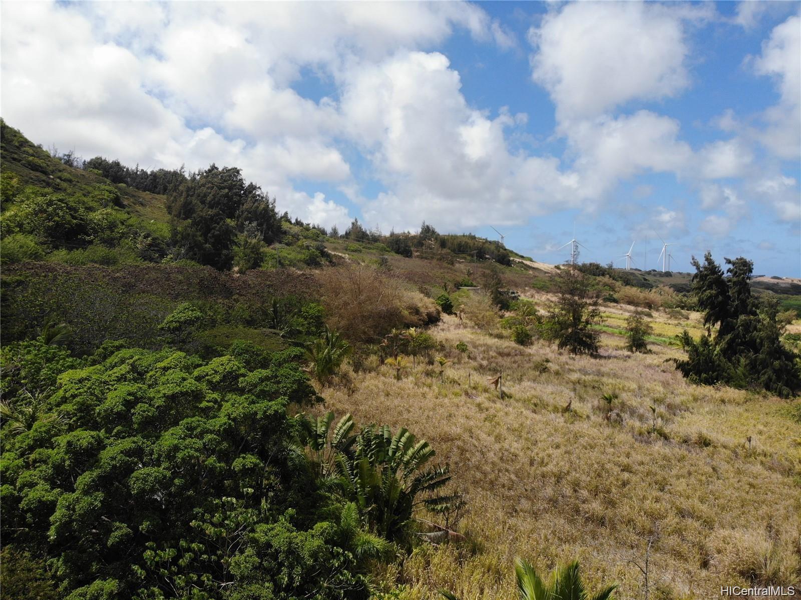 56-664 Kamehameha Hwy 2 Kahuku, Hi vacant land for sale - photo 17 of 23