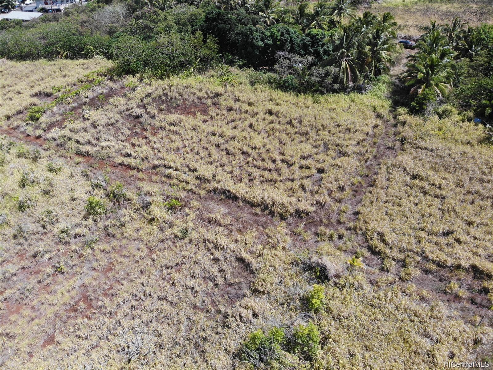 56-664 Kamehameha Hwy 2 Kahuku, Hi vacant land for sale - photo 20 of 23