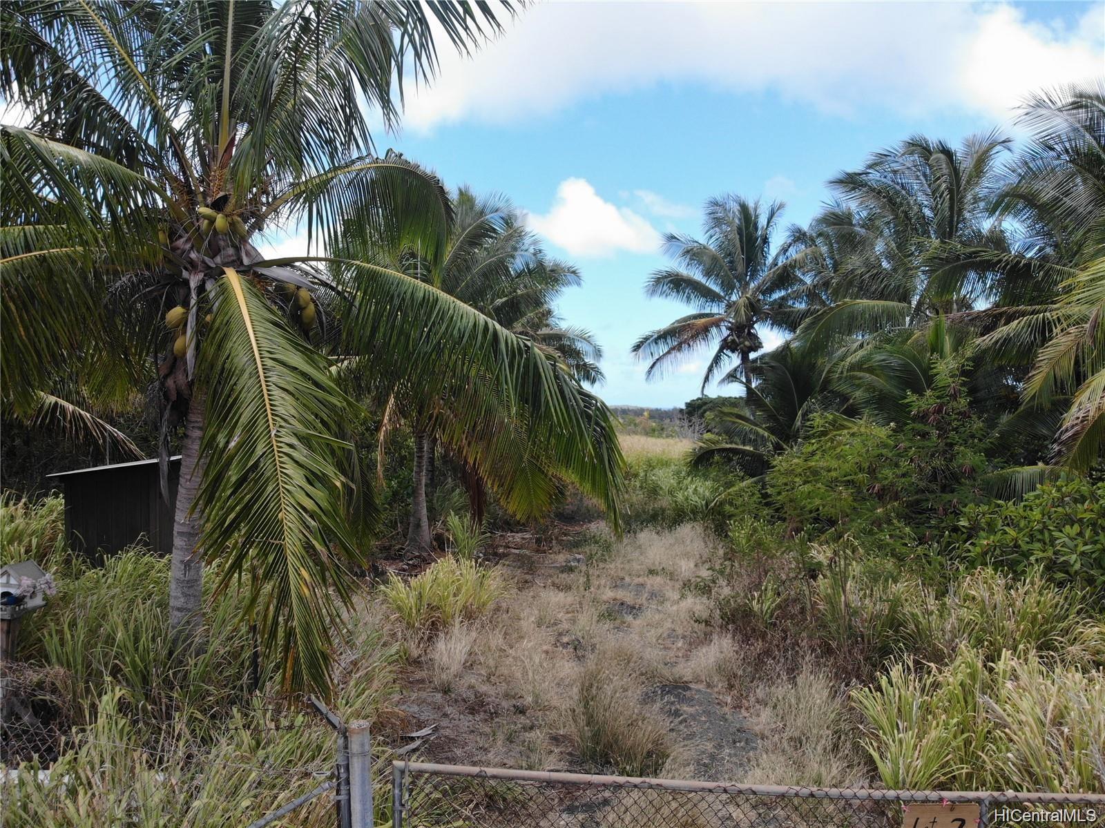 56-664 Kamehameha Hwy 2 Kahuku, Hi vacant land for sale - photo 23 of 23
