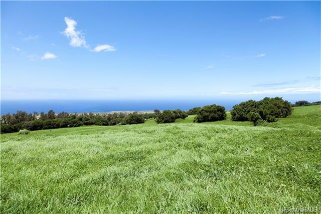 57-1495 Puuhue-honoipo Rd  Hawi, Hi vacant land for sale - photo 11 of 18