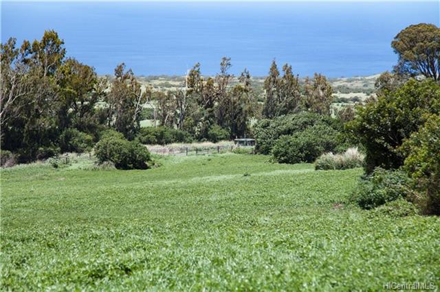 57-1495 Puuhue-honoipo Rd  Hawi, Hi vacant land for sale - photo 12 of 18