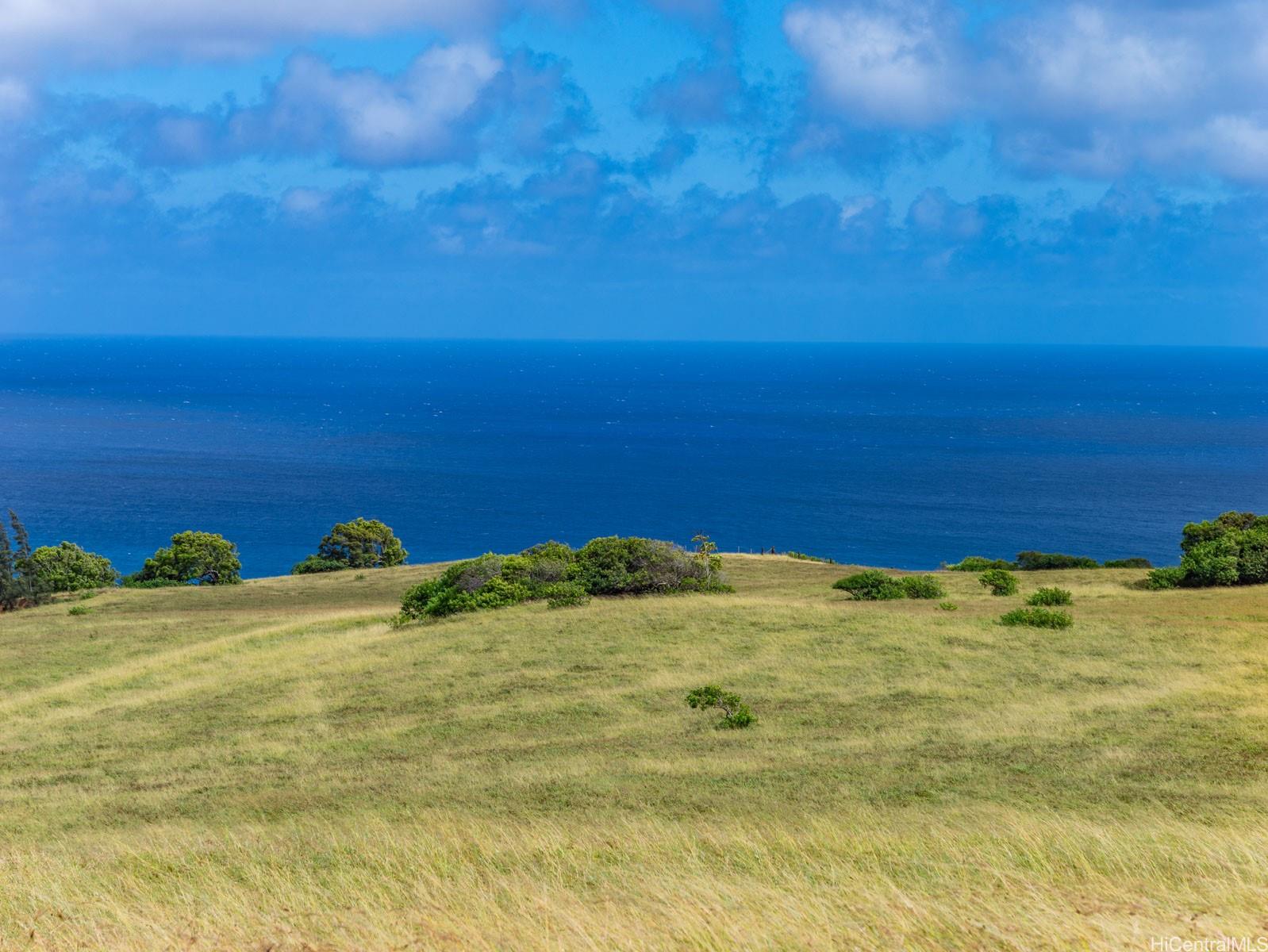 58-248 Kamehameha Hwy C1 Haleiwa, Hi vacant land for sale - photo 4 of 15