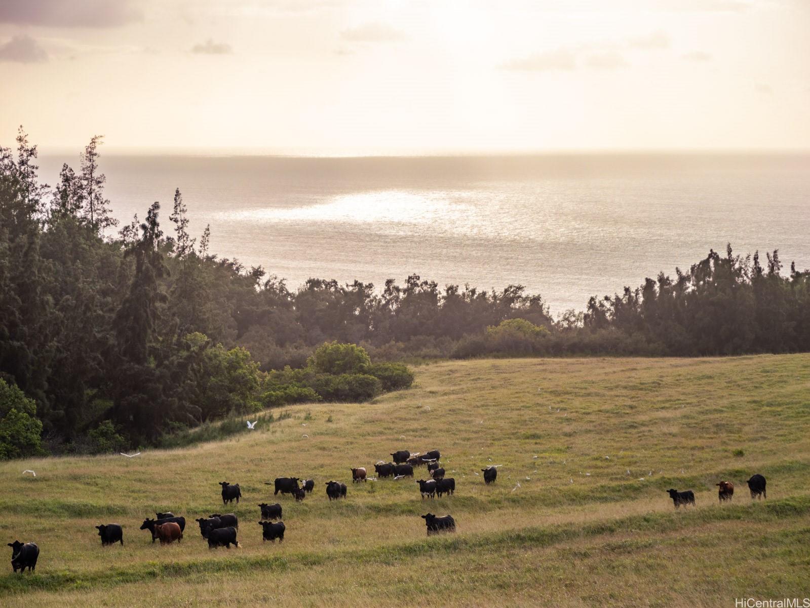 58-248 Kamehameha Hwy C1 Haleiwa, Hi vacant land for sale - photo 10 of 15