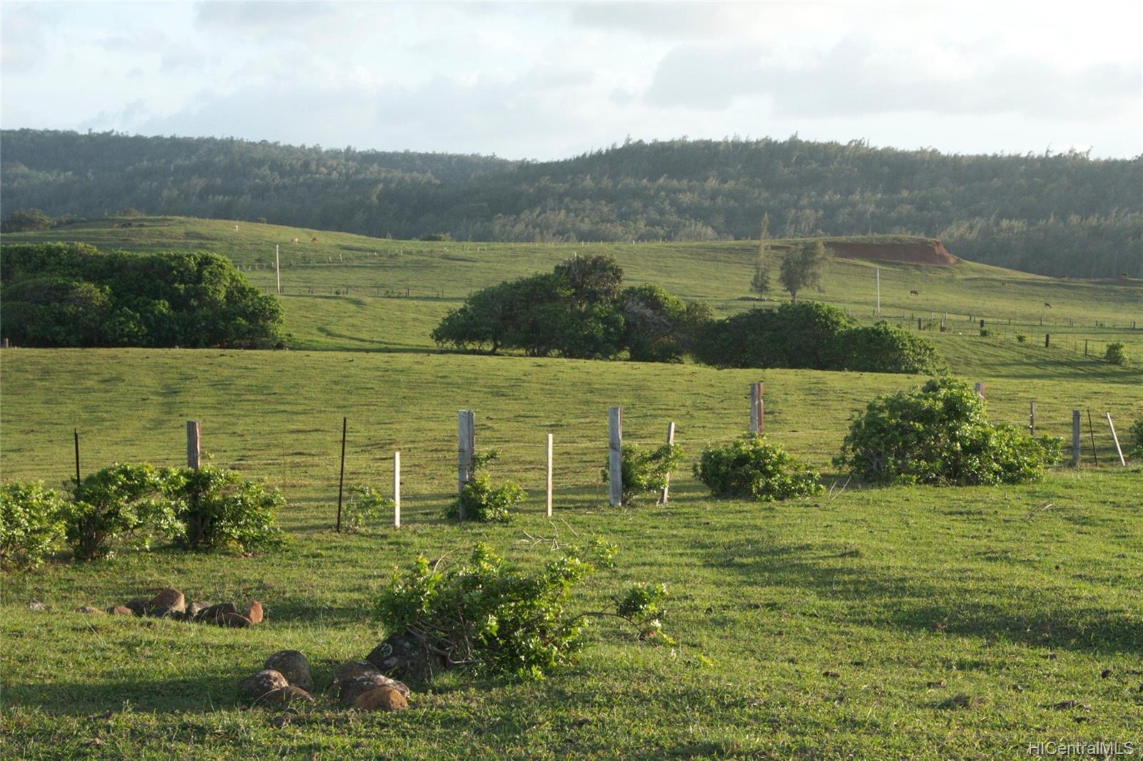 58-248 Kamehameha Hwy C2 Haleiwa, Hi vacant land for sale - photo 5 of 7
