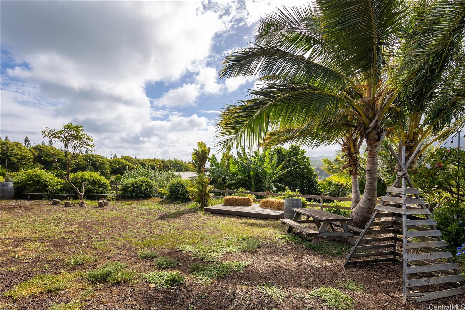 587  Pakala Street Koko Head Terrace, Hawaii Kai home - photo 23 of 25