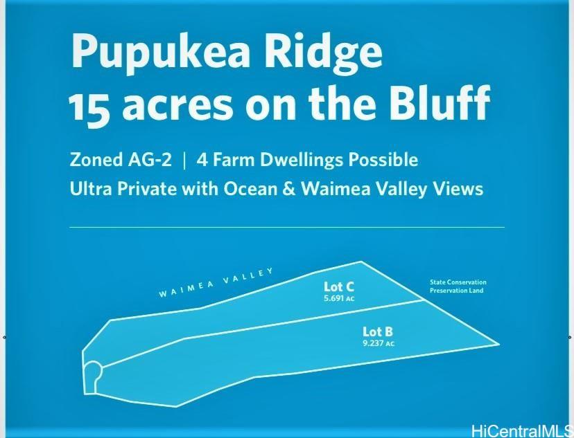 59 Maulukua Road  Haleiwa, Hi vacant land for sale - photo 5 of 6