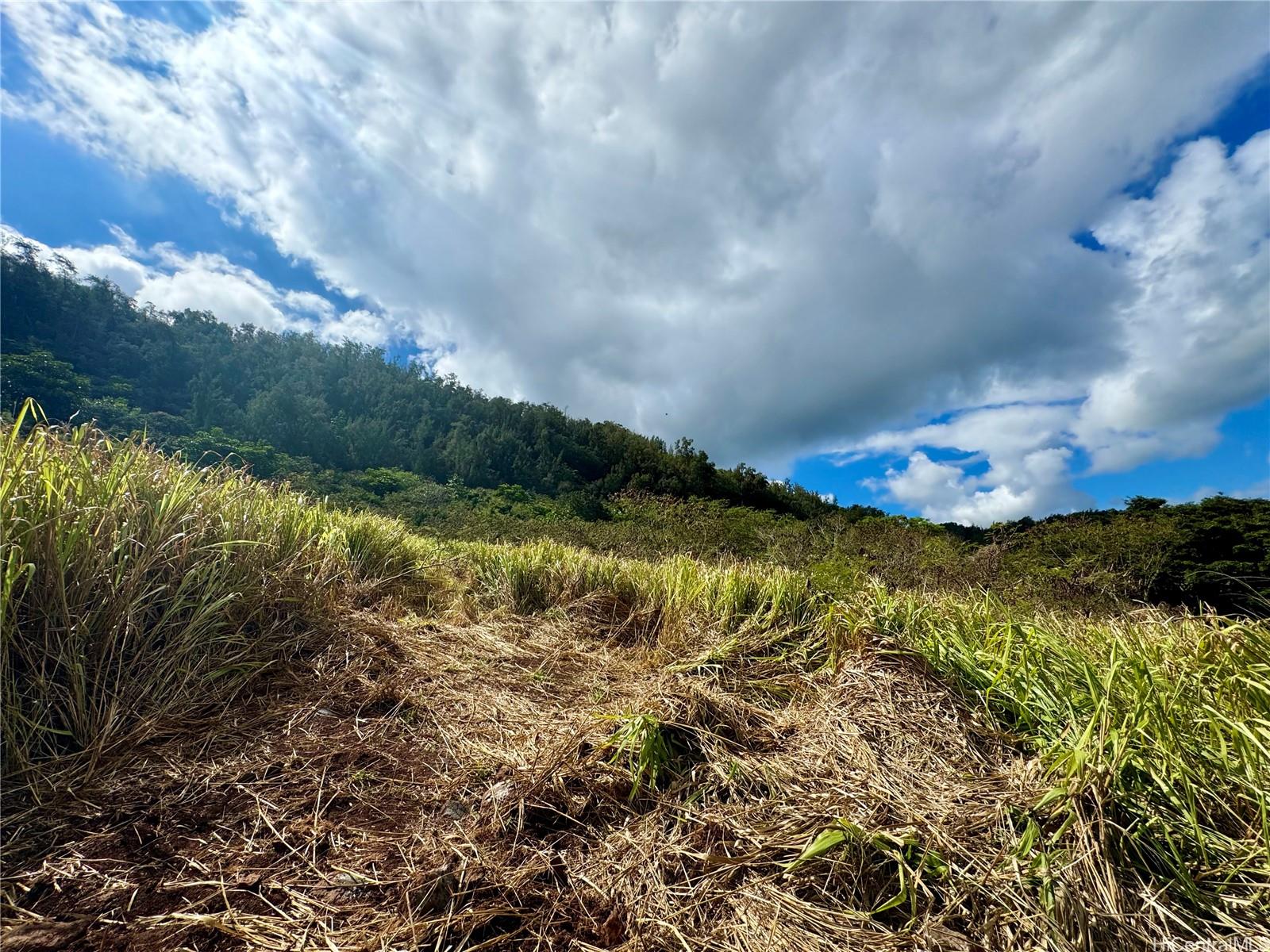 59-056B Kamehameha Hwy 59-56B-1 Haleiwa, Hi vacant land for sale - photo 3 of 10