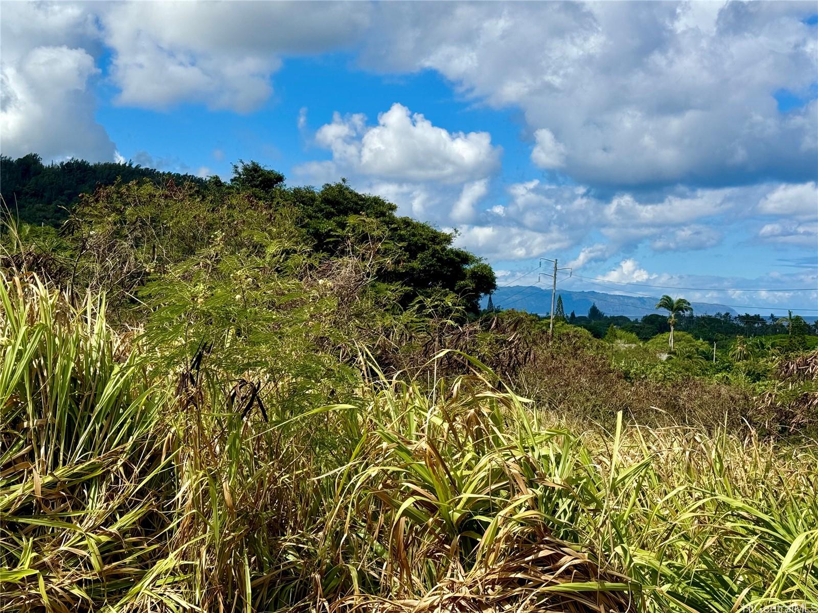 59-056B Kamehameha Hwy 59-56B-1 Haleiwa, Hi vacant land for sale - photo 4 of 10