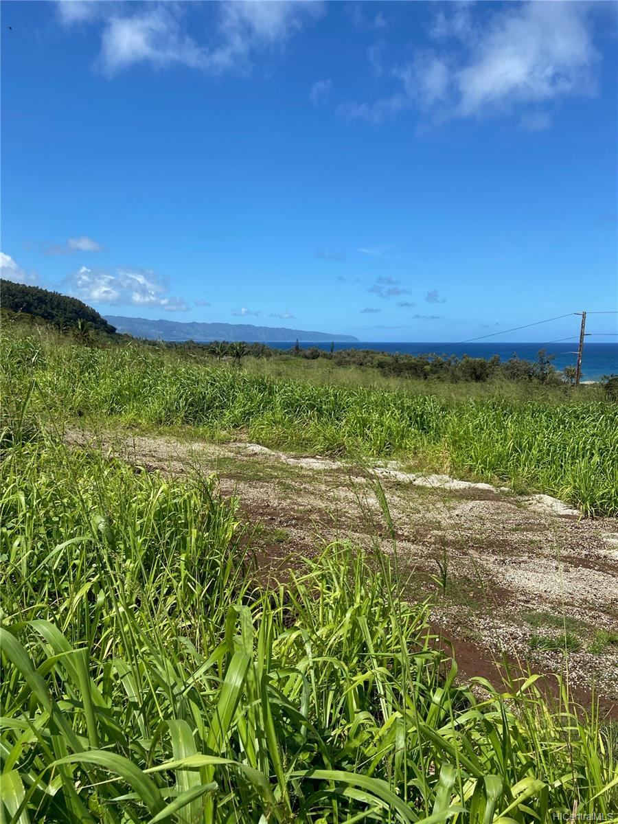 59-178 c5 Kamehameha Hwy  Haleiwa, Hi vacant land for sale - photo 2 of 14