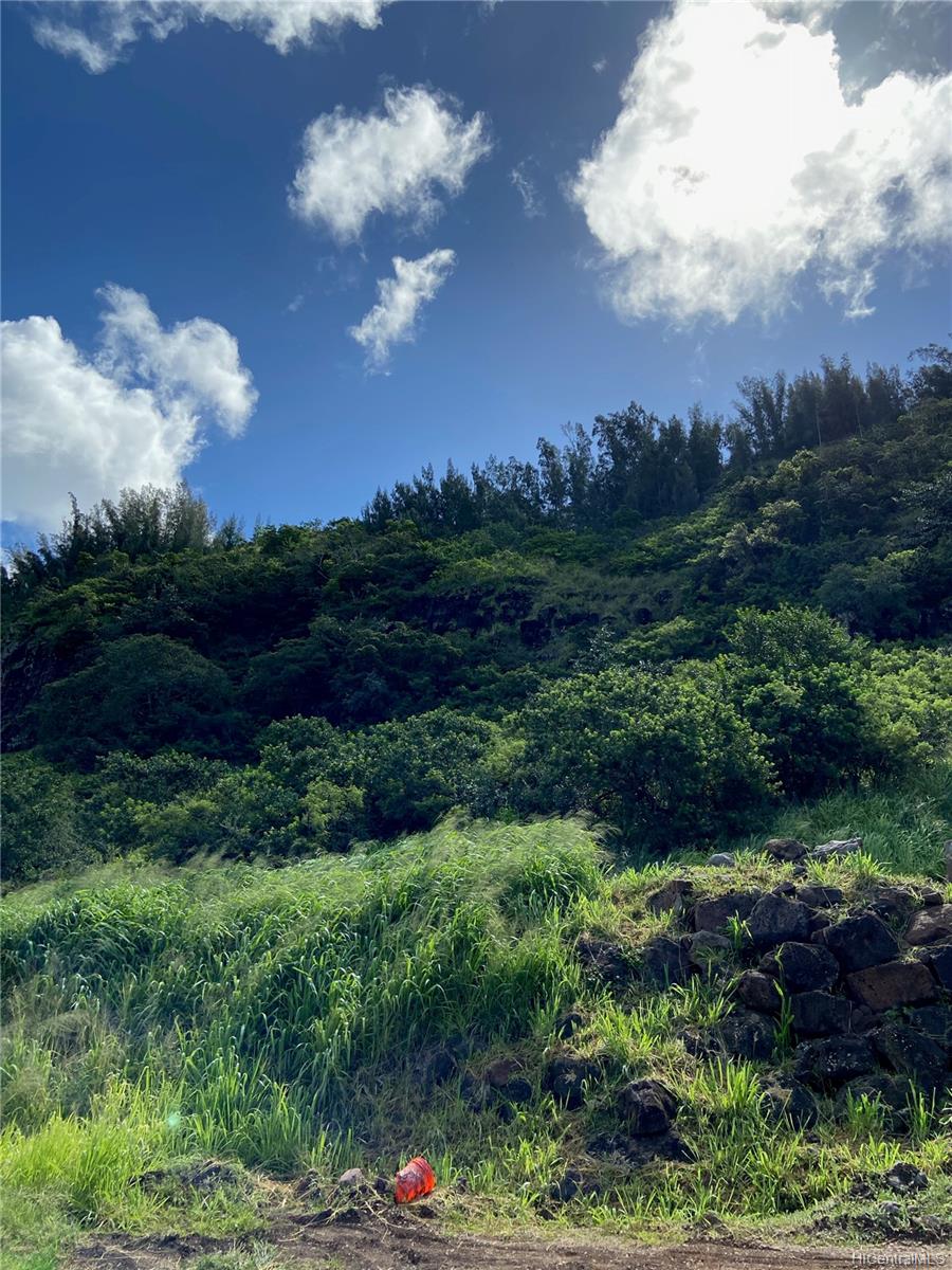 59-178 c5 Kamehameha Hwy  Haleiwa, Hi vacant land for sale - photo 5 of 14