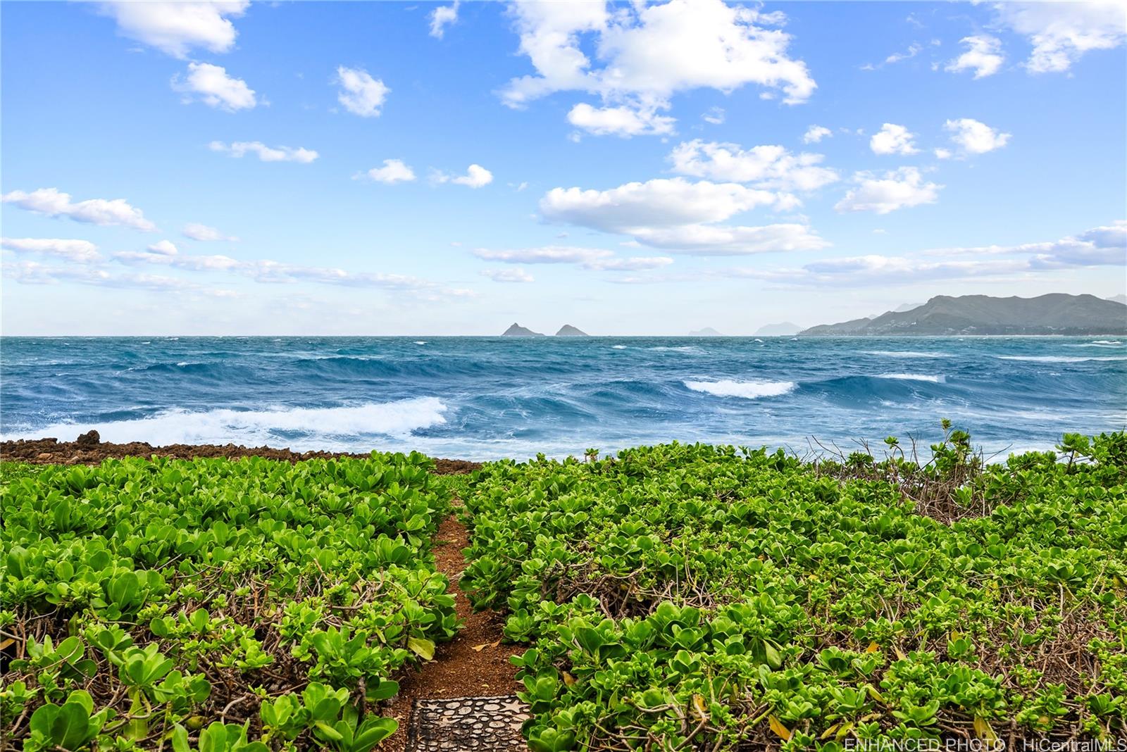 592  Kaimalino Street Kaimalino, Kailua home - photo 4 of 25