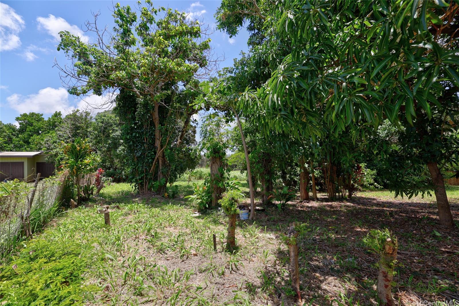 59-439 Alapio Rd  Haleiwa, Hi vacant land for sale - photo 11 of 25