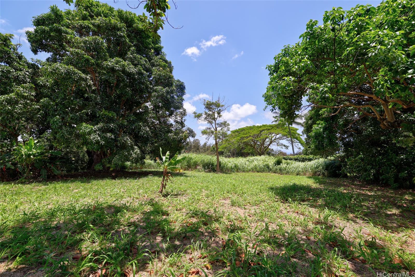 59-439 Alapio Rd  Haleiwa, Hi vacant land for sale - photo 13 of 25