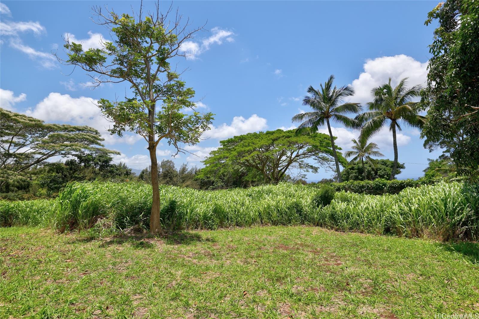 59-439 Alapio Rd  Haleiwa, Hi vacant land for sale - photo 14 of 25