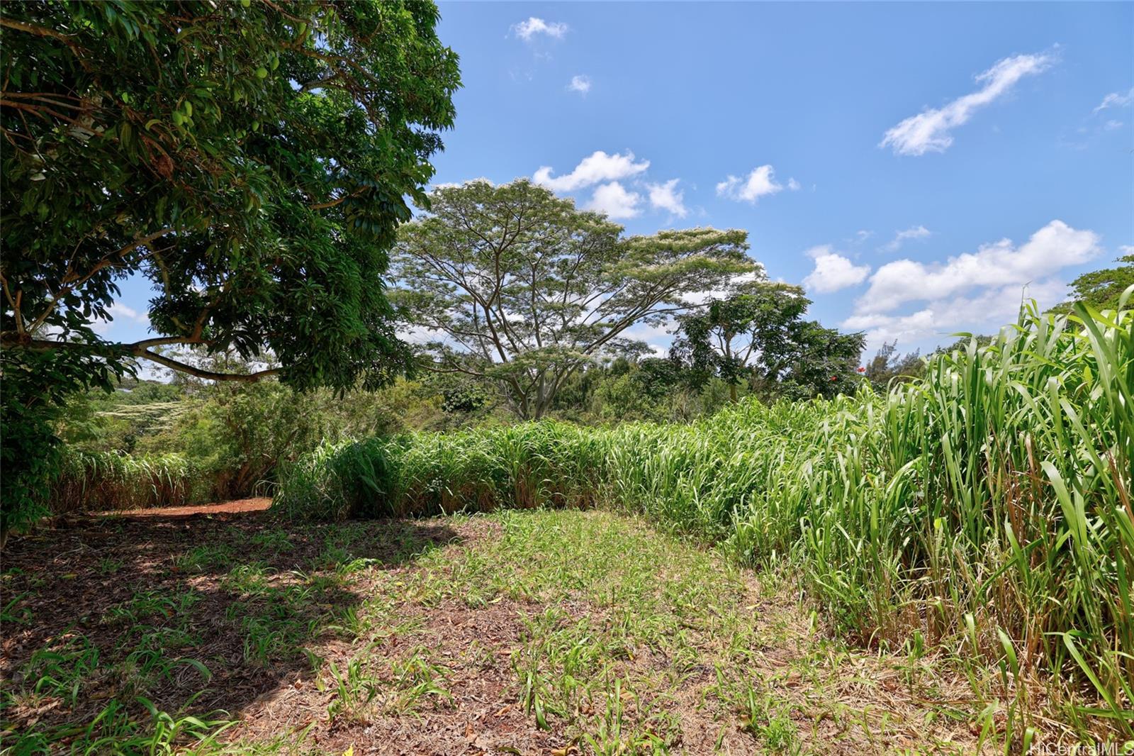 59-439 Alapio Rd  Haleiwa, Hi vacant land for sale - photo 16 of 25