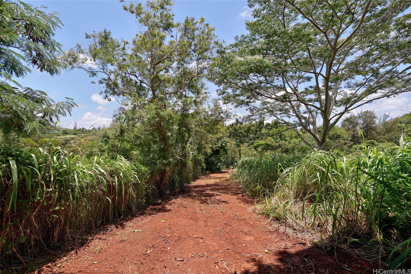 59-439 Alapio Rd  Haleiwa, Hi vacant land for sale - photo 17 of 25