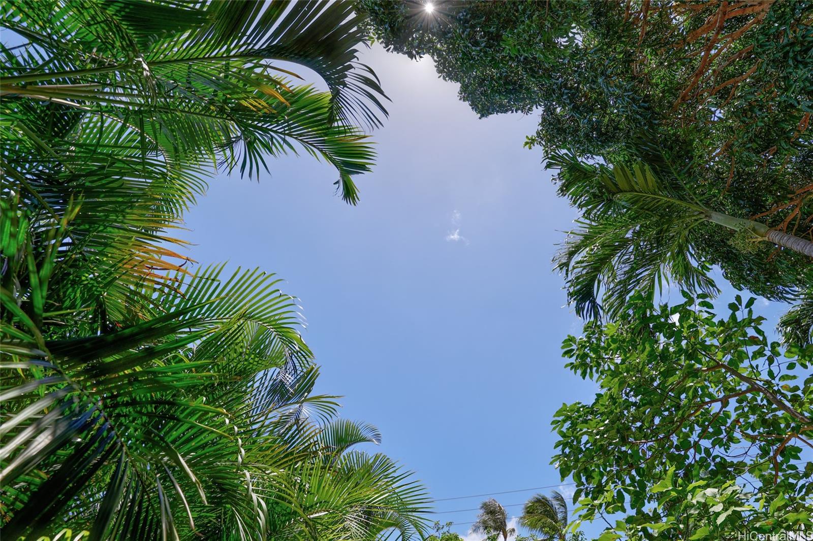 59-439 Alapio Rd  Haleiwa, Hi vacant land for sale - photo 19 of 25