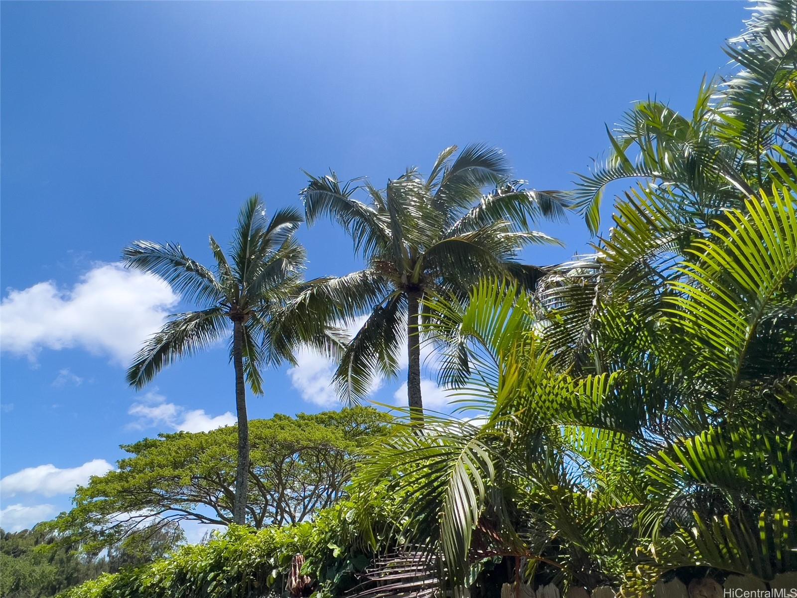 59-439 Alapio Rd  Haleiwa, Hi vacant land for sale - photo 22 of 25