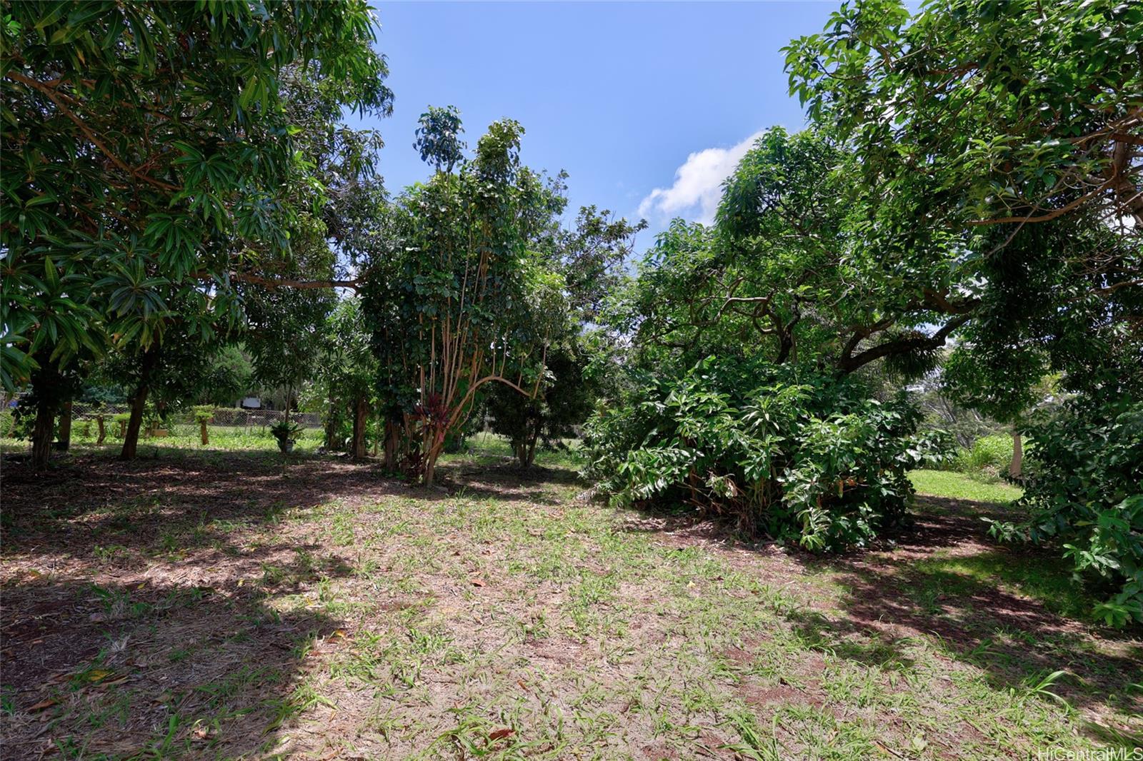 59-439 Alapio Rd  Haleiwa, Hi vacant land for sale - photo 10 of 25