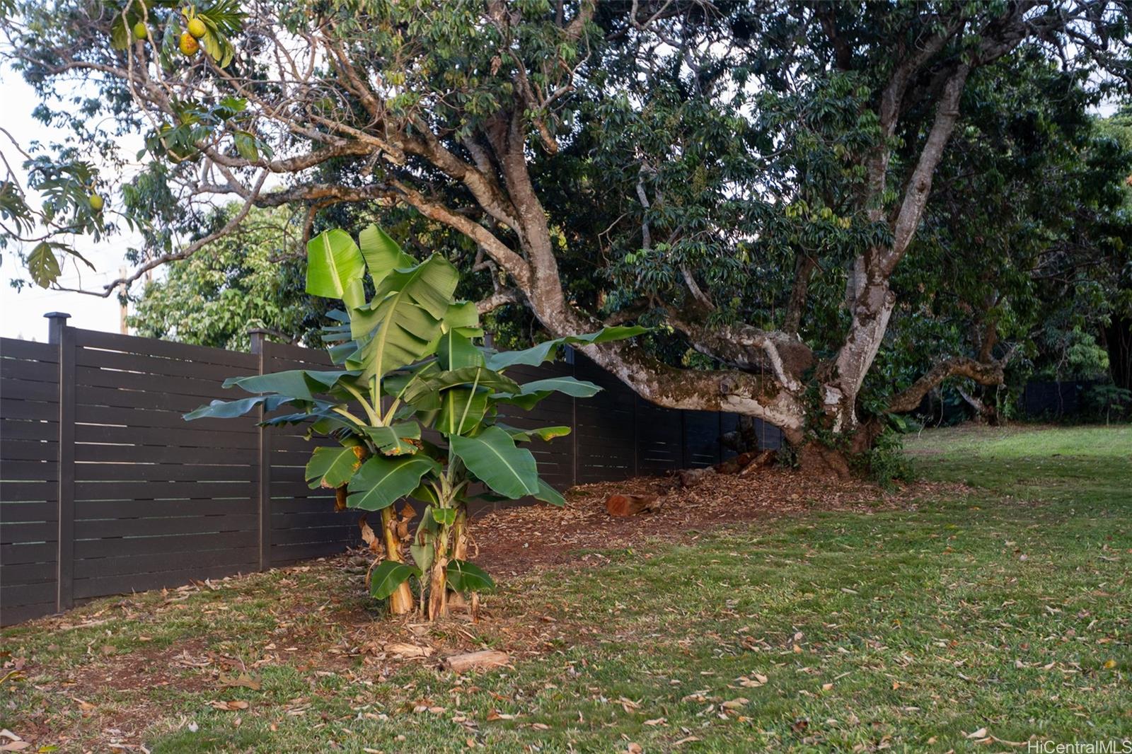 59-450  Alapio Road Pupukea, North Shore home - photo 23 of 25