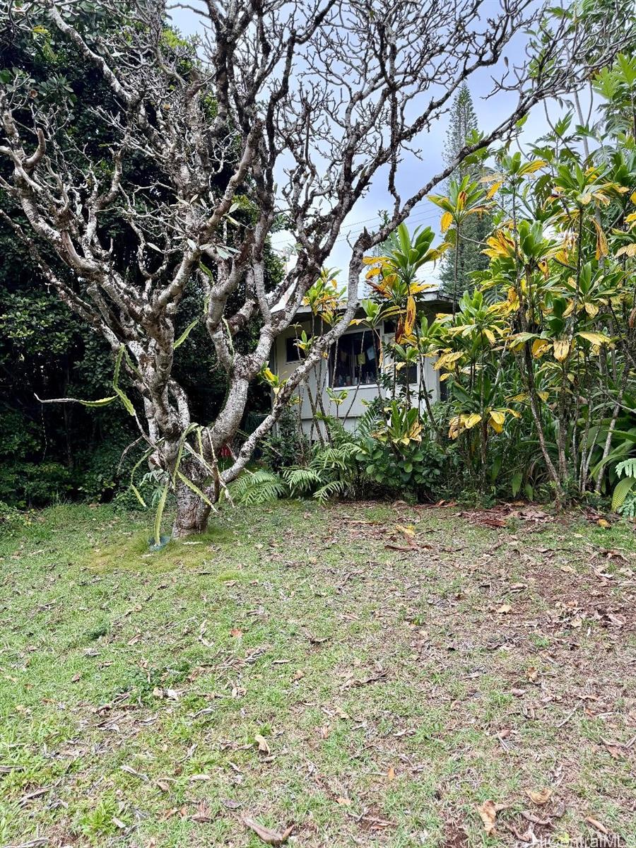 59-543  Alapio Road Pupukea, North Shore home - photo 7 of 21