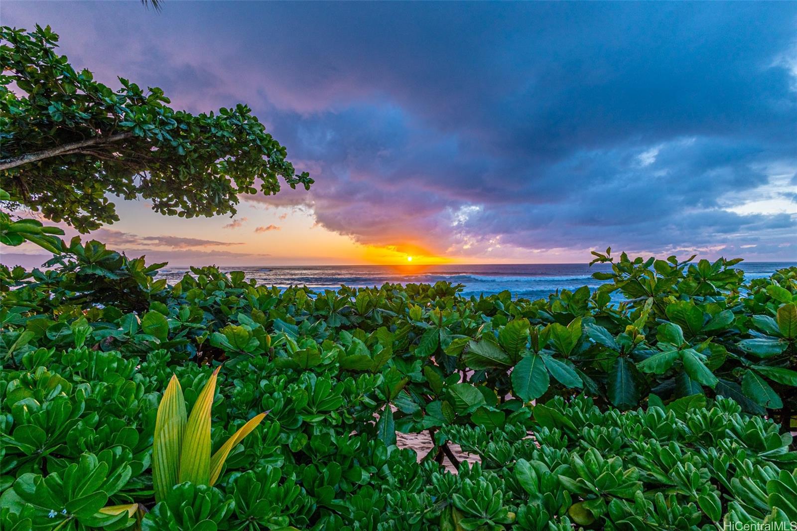 59-75  Hoalua Street Sunset Area, North Shore home - photo 19 of 25