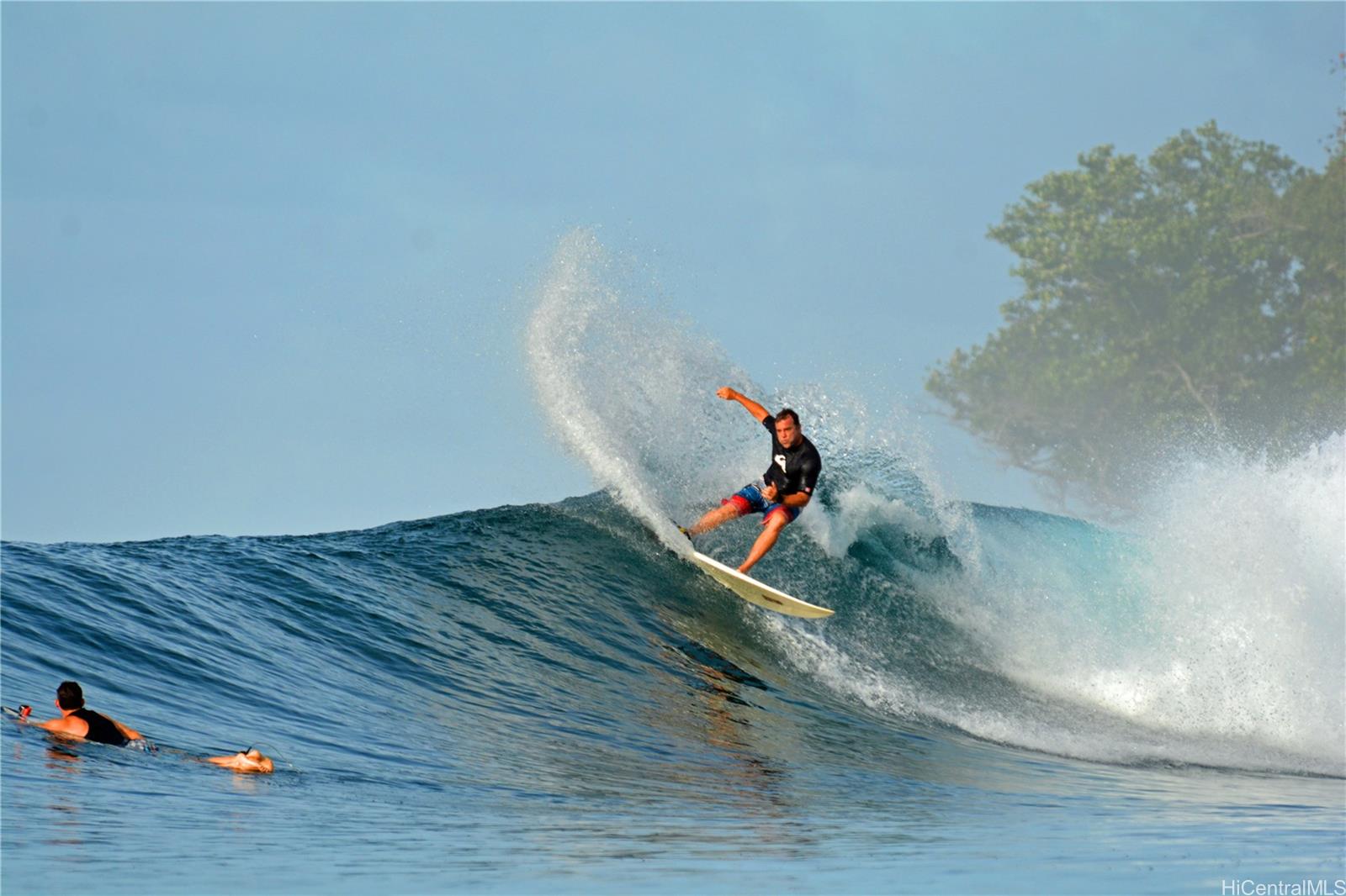 61-1121 Kaukonahua Road 5 Waialua, Hi vacant land for sale - photo 12 of 19