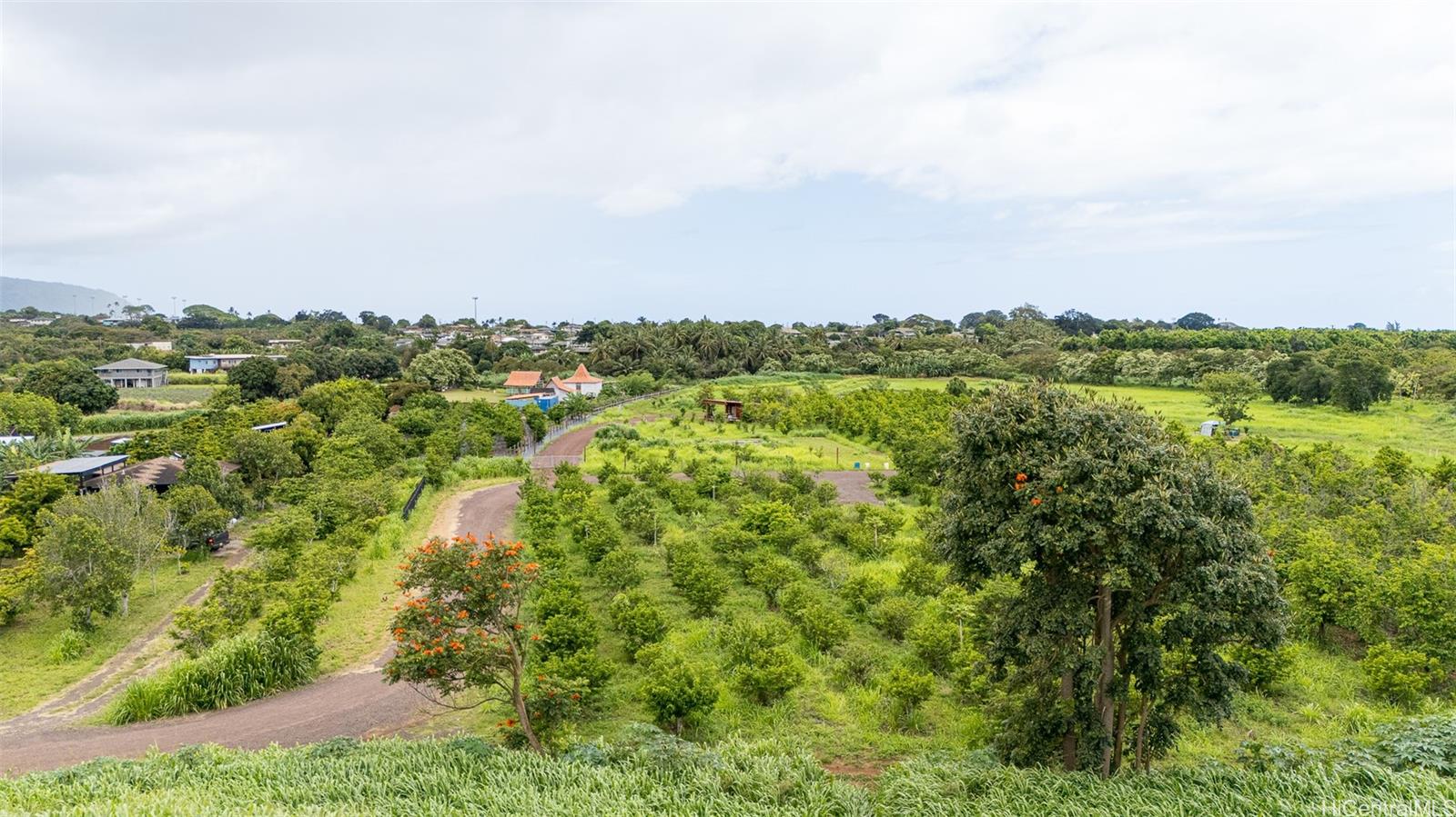 61-1121 Kaukonahua Road 5 Waialua, Hi vacant land for sale - photo 14 of 19