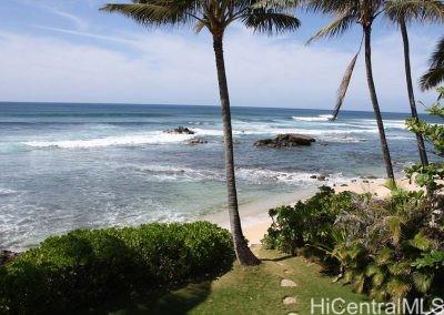 61-313 Kamehameha Hwy Haleiwa - Rental - photo 3 of 17