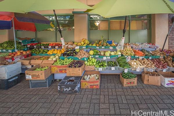 61-313 Kamehameha Hwy Haleiwa - Rental - photo 9 of 17