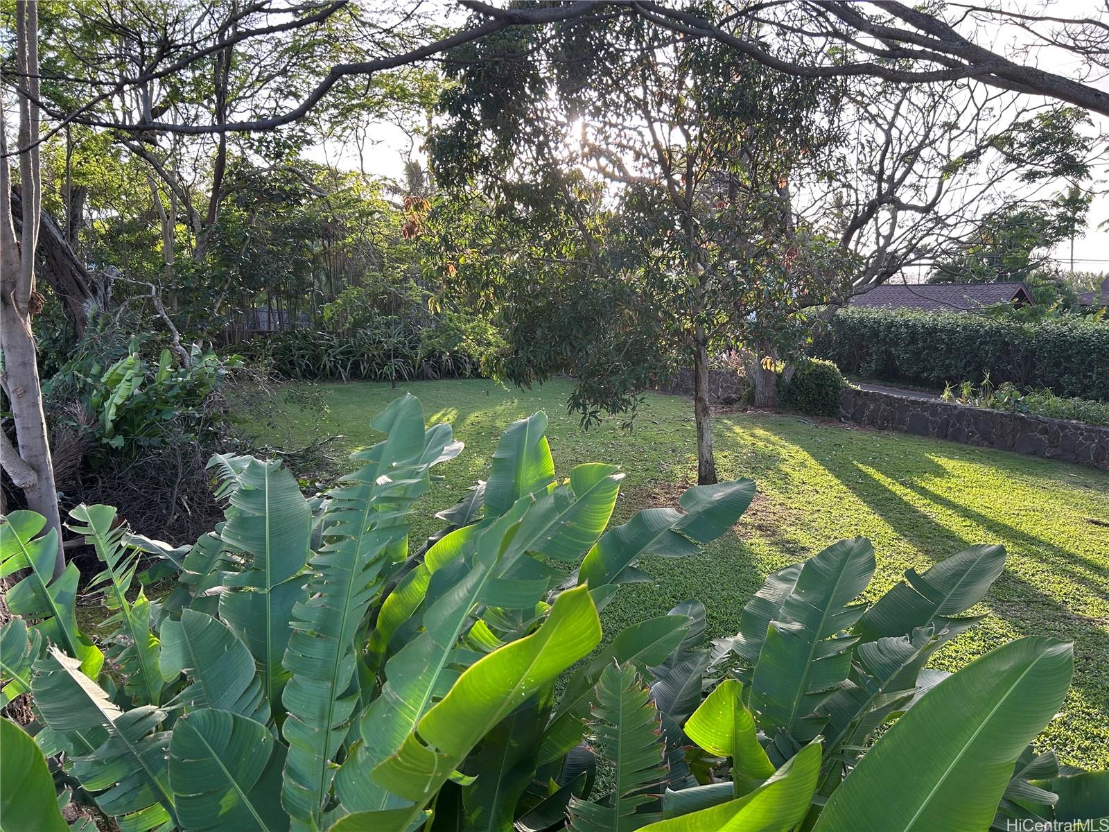 61-560 Pohaku Loa Way  Haleiwa, Hi vacant land for sale - photo 12 of 18