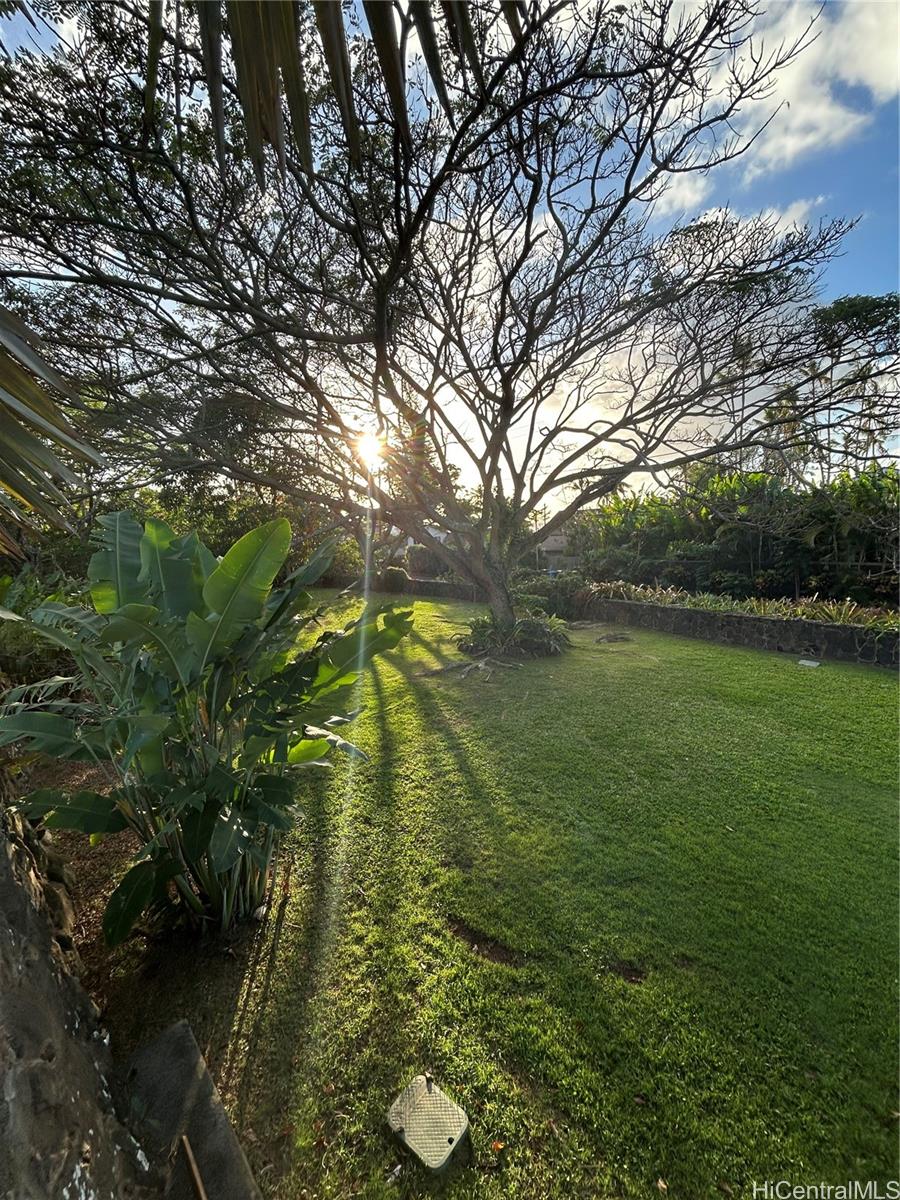 61-560 Pohaku Loa Way  Haleiwa, Hi vacant land for sale - photo 16 of 18