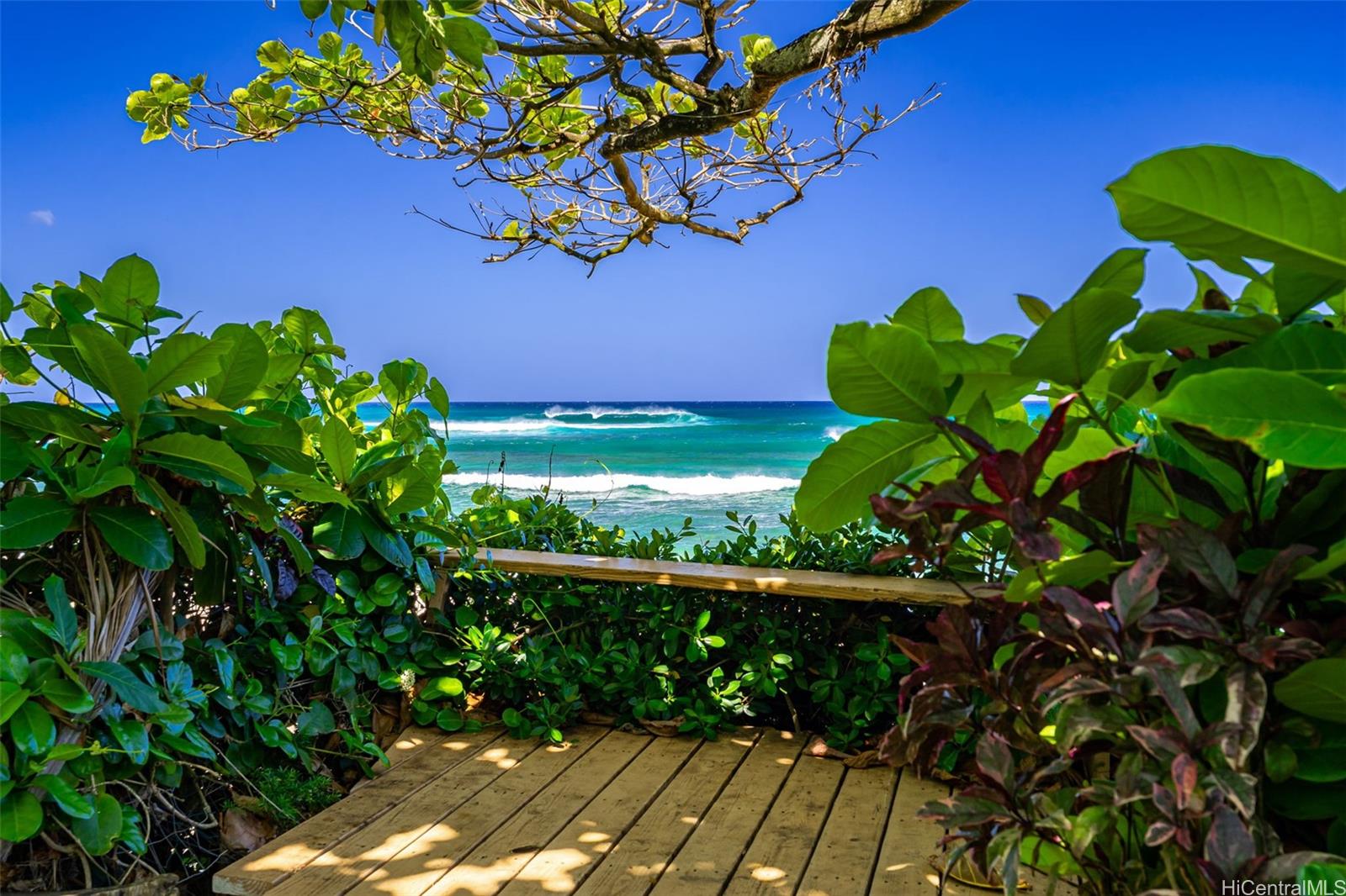 61-651  Kamehameha Hwy Kawailoa-north Shore, North Shore home - photo 23 of 25