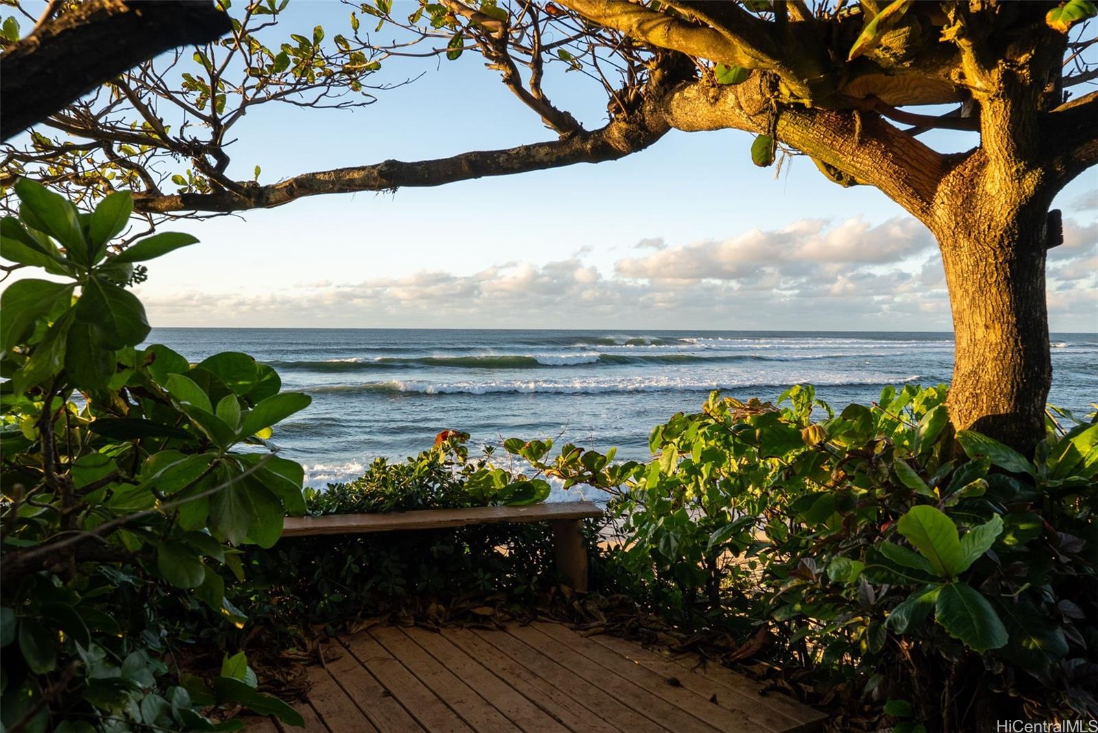 61-651  Kamehameha Hwy Kawailoa-north Shore, North Shore home - photo 17 of 25